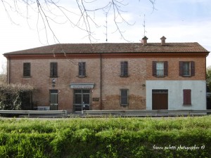 oltre la balena 10