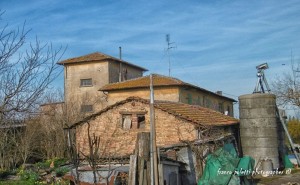 oltre la balena 12