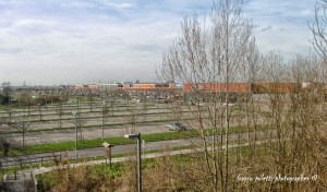 oltre la balena 13