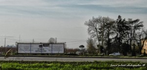 oltre la balena 02