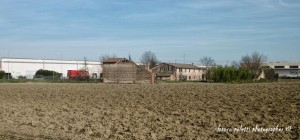 oltre la balena 05  